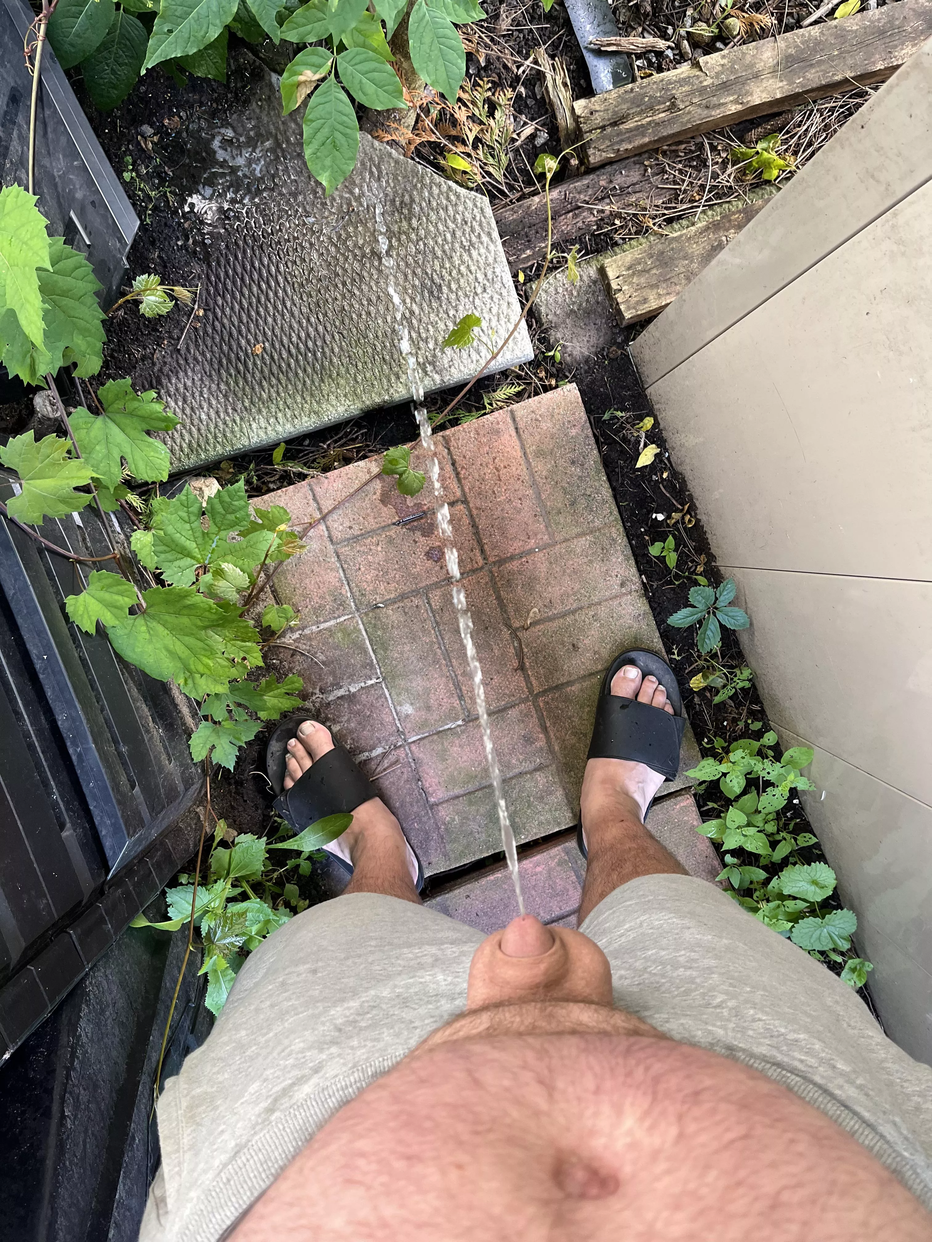 Unloading some gardening beers posted by capitalcub