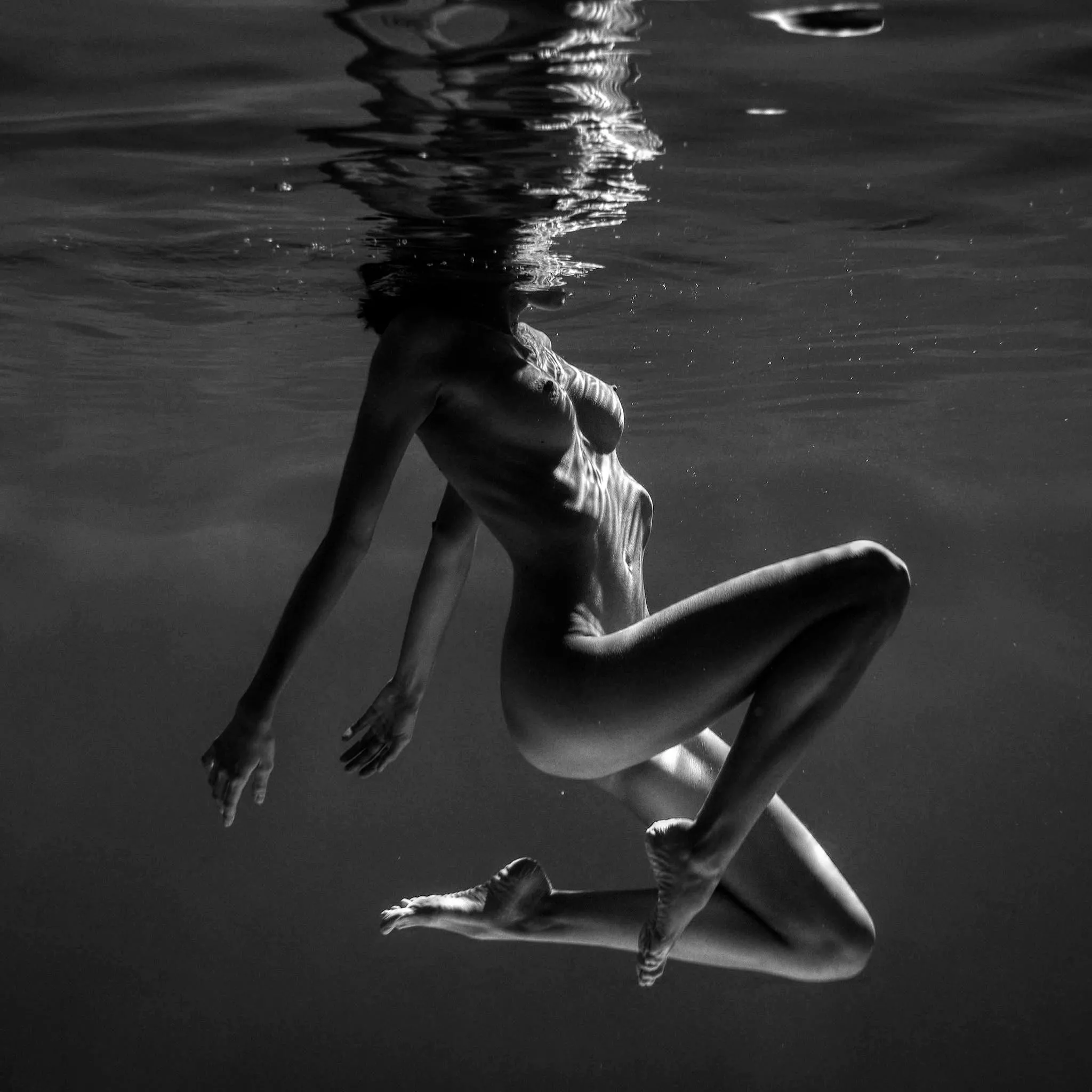 Where fishes go, by Pavlo Protsenko posted by Gothmoggie