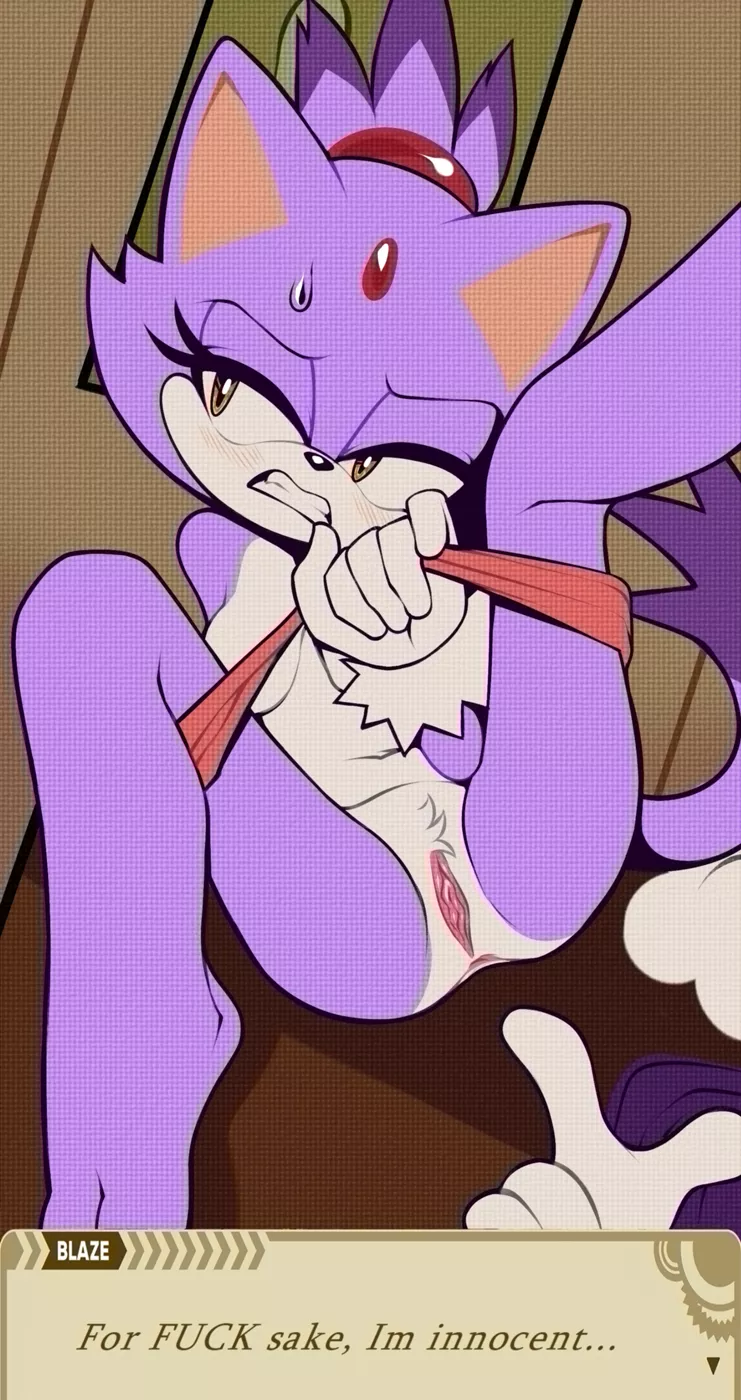 Blaze Trying To Prove Her Innocence (WildBlur) posted by CorruptedSiren77