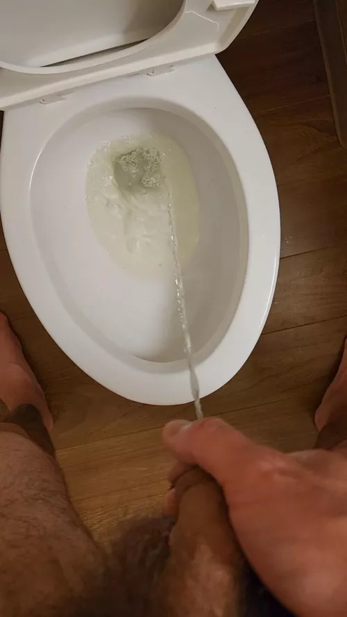 Breaking in the hotel toilet by themistershai