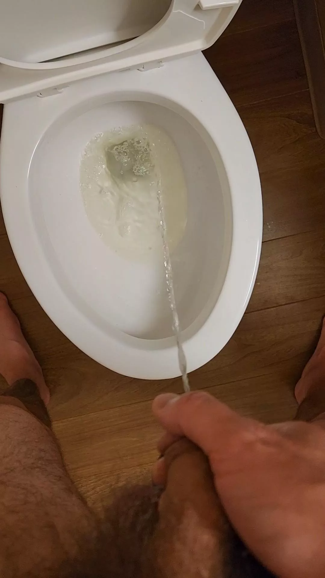 Breaking in the hotel toilet posted by themistershai