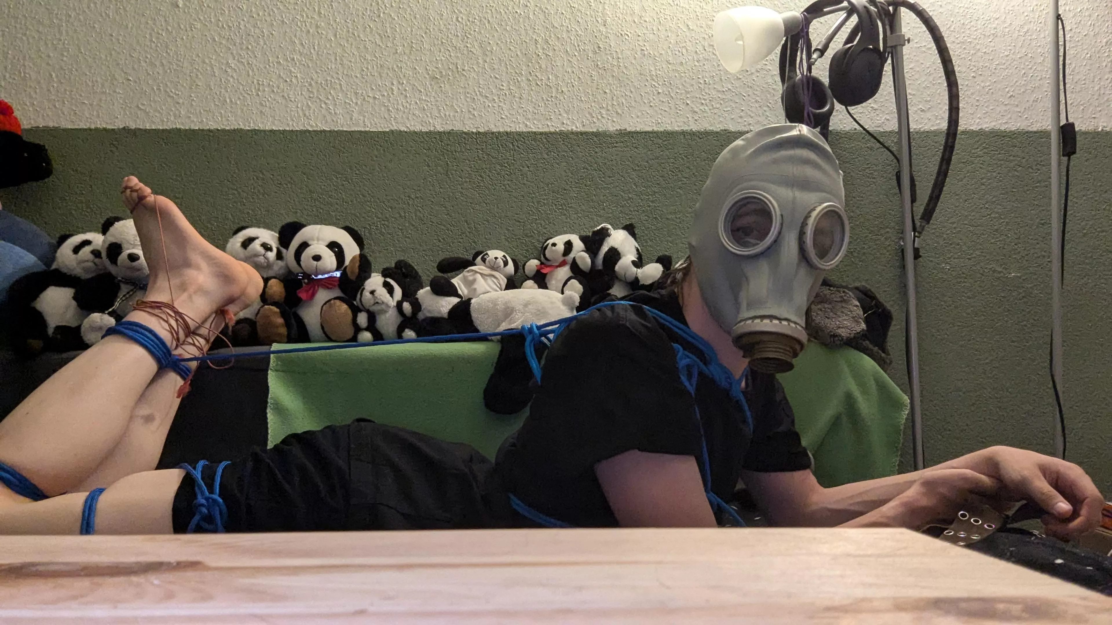 Decided to do a hog tie tonight  posted by lxBreadxl