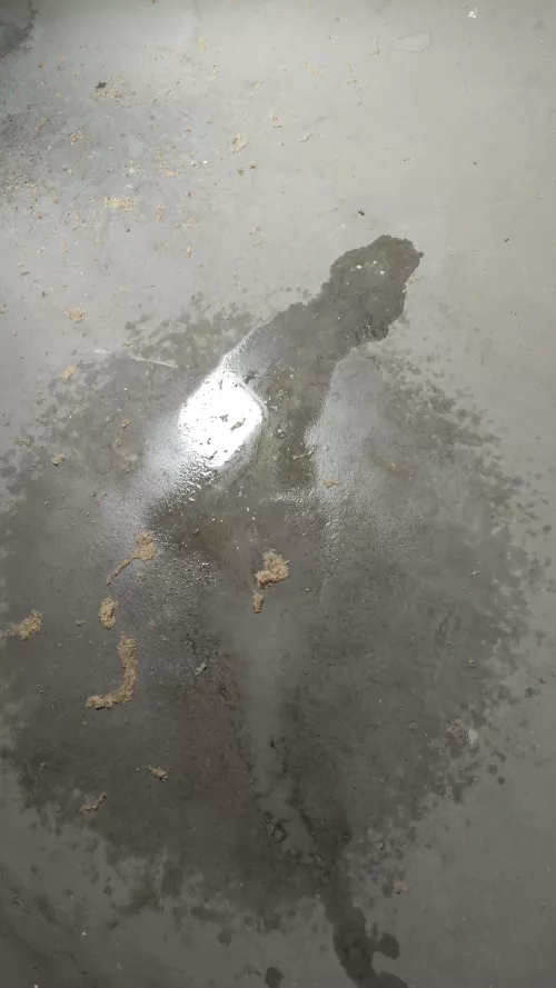 Did a mess on the attic💦 by hornyboy0903