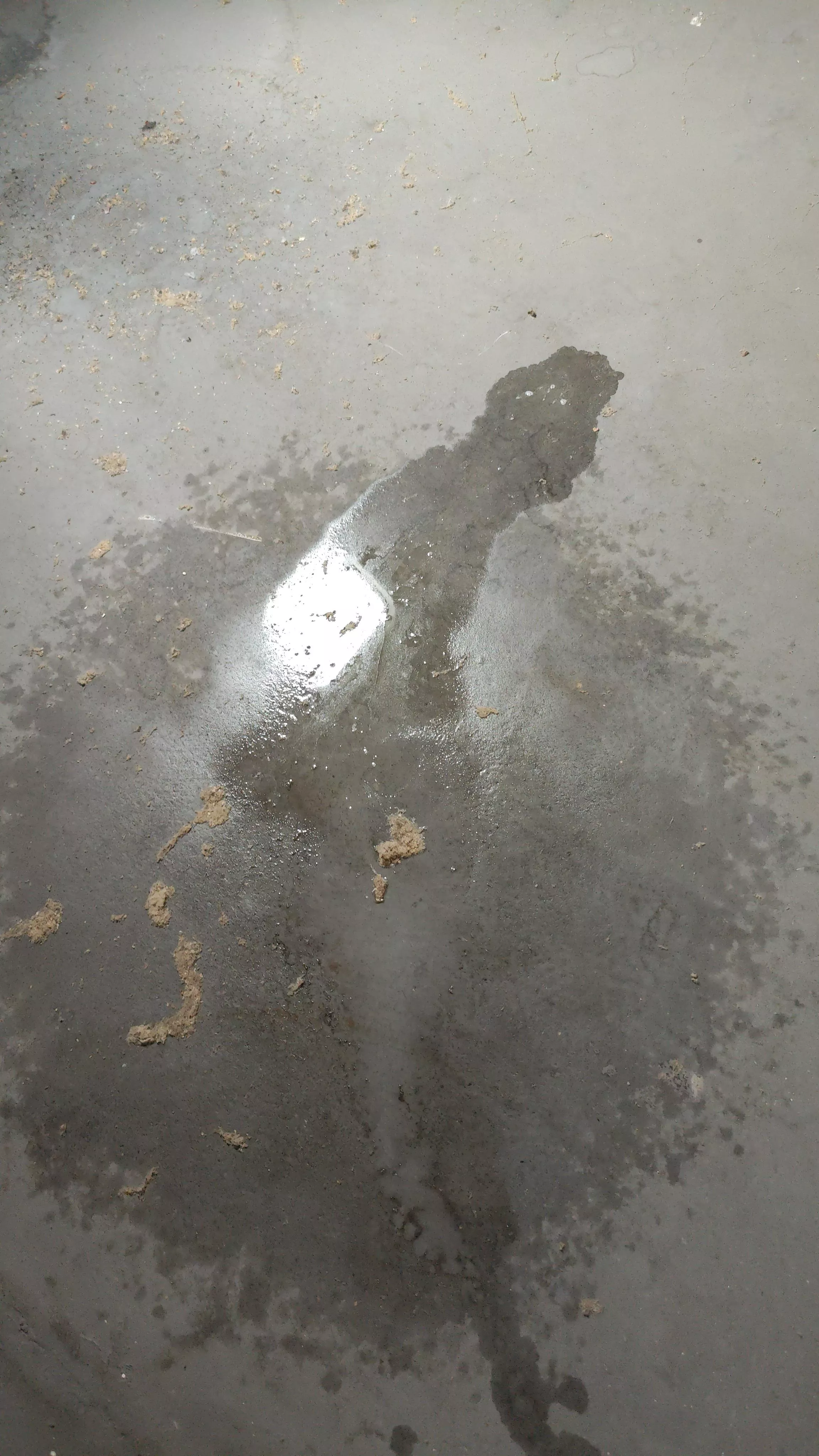 Did a mess on the attic💦 posted by hornyboy0903