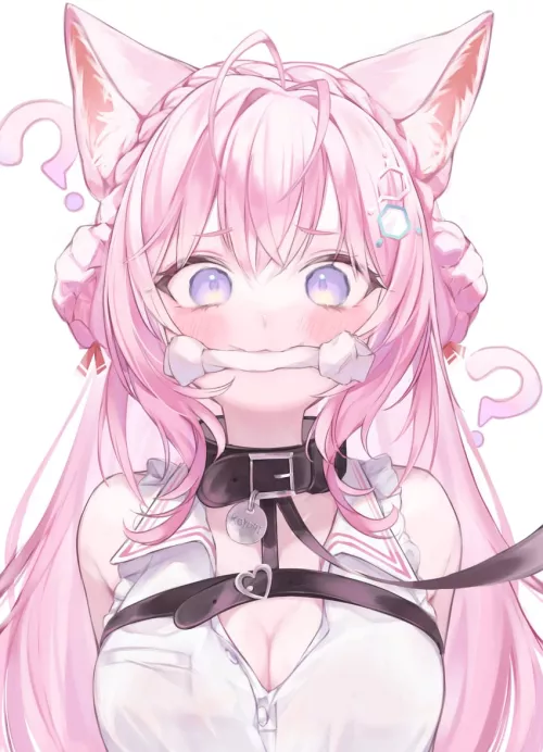 Do you like your new collar with leash? I got it specially for you! by dk20199