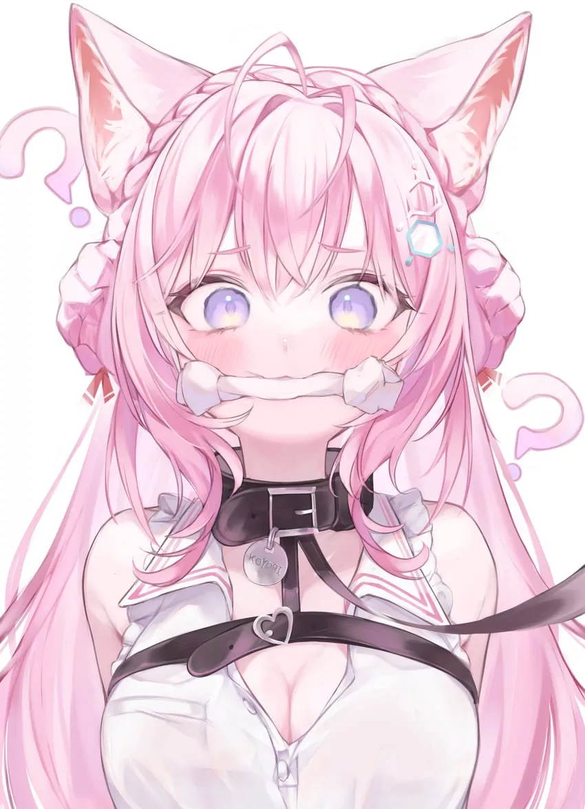 Do you like your new collar with leash? I got it specially for you! posted by dk20199