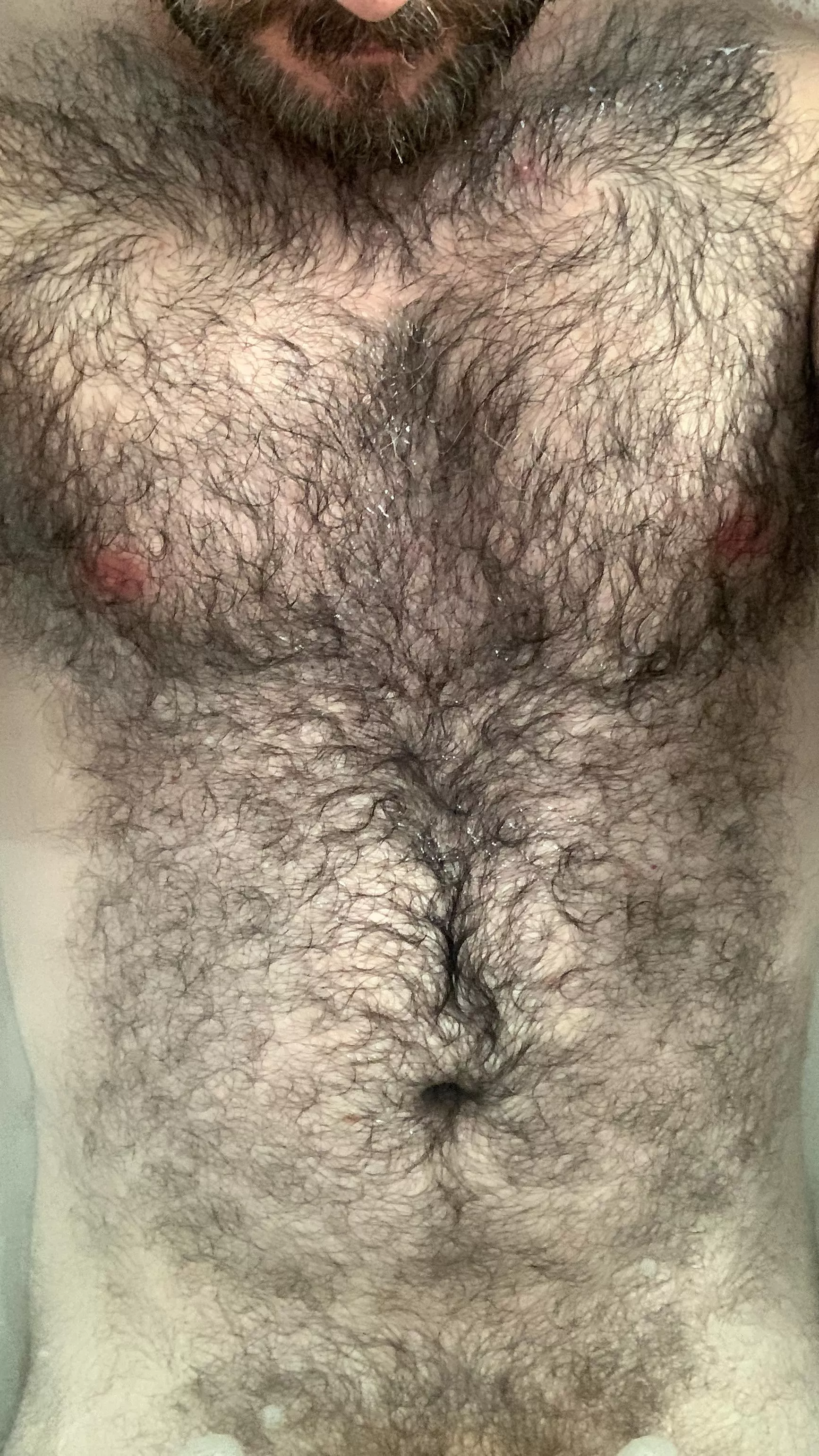 I Needed This! posted by Hairy-Dude