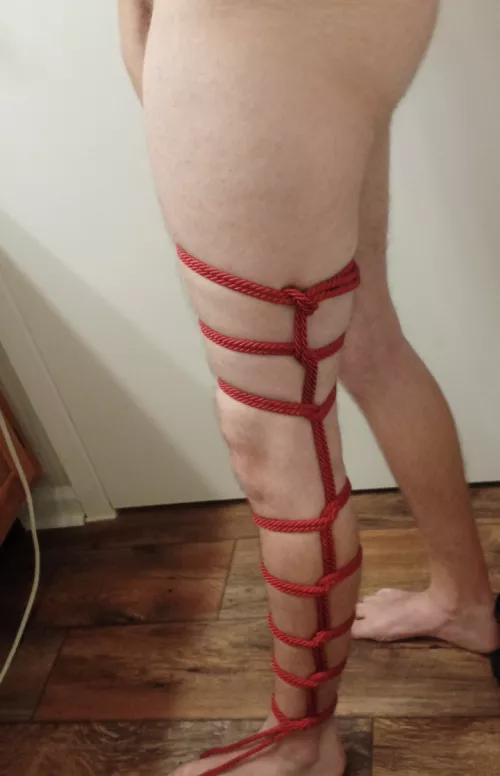 Nothing special I just find leg ladders so satisfying.  by TheSoundingFathers