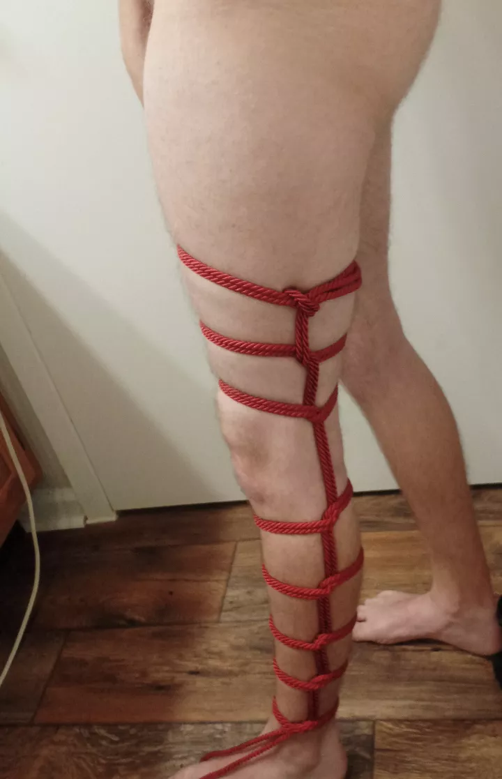 Nothing special I just find leg ladders so satisfying.  posted by TheSoundingFathers