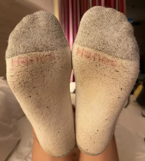 Stinky 7 days worn Hanes ready for a new home! [Selling] by Roxxyann1