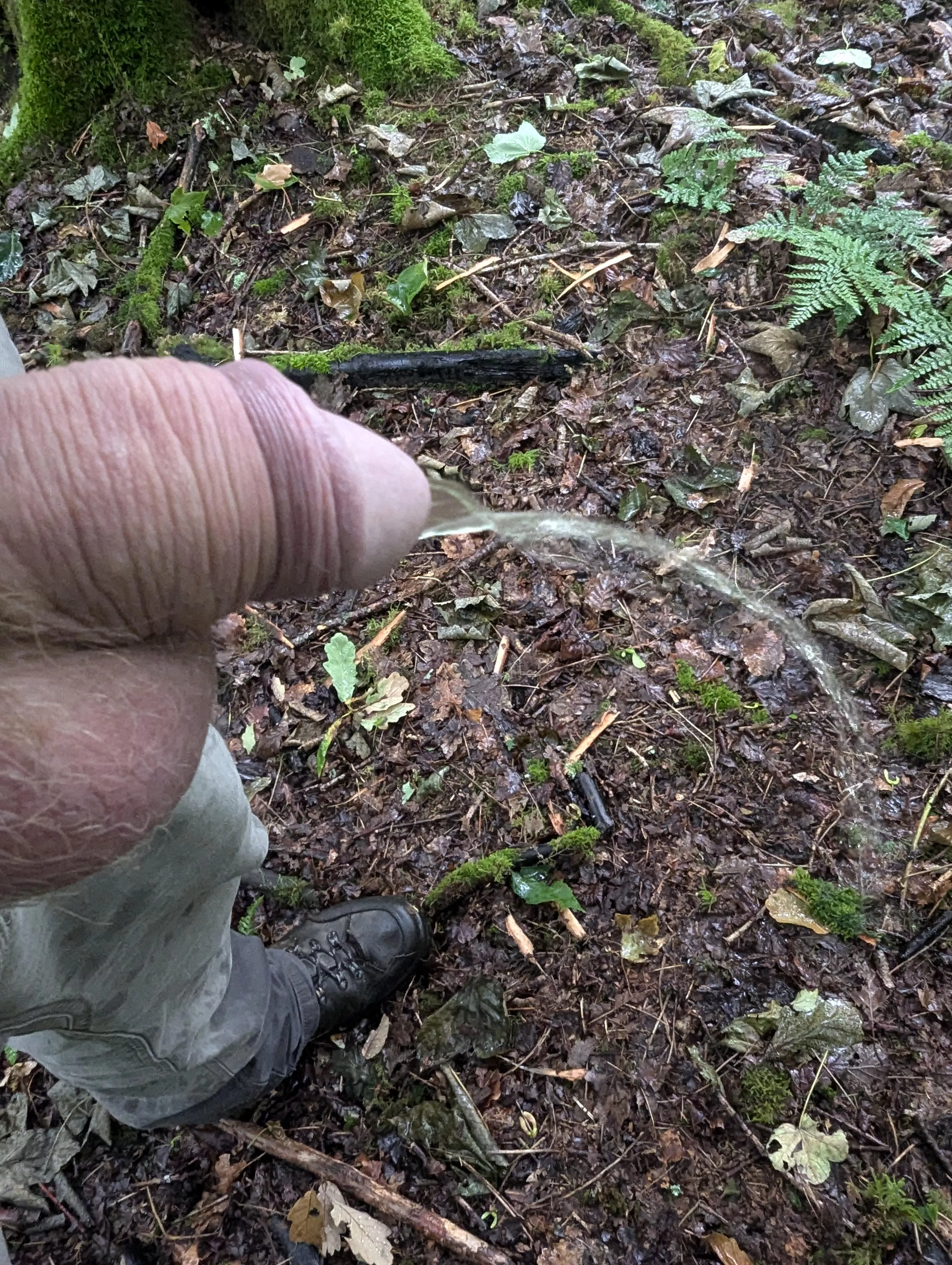 Wet woodland  posted by Throwawayyetagain202