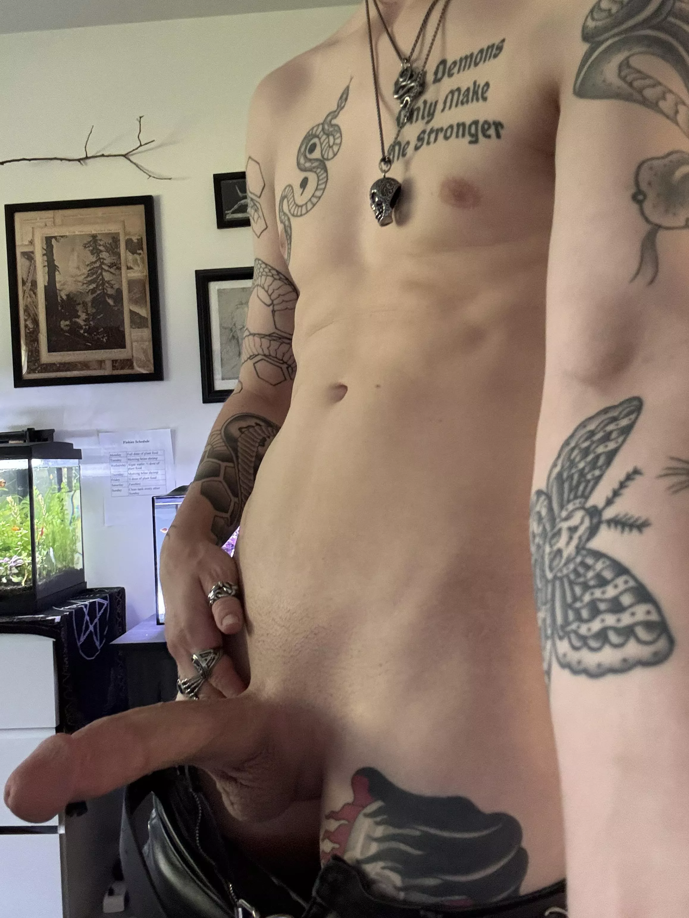 Would you let a goth guy dick you down? posted by PaytonTallSlim