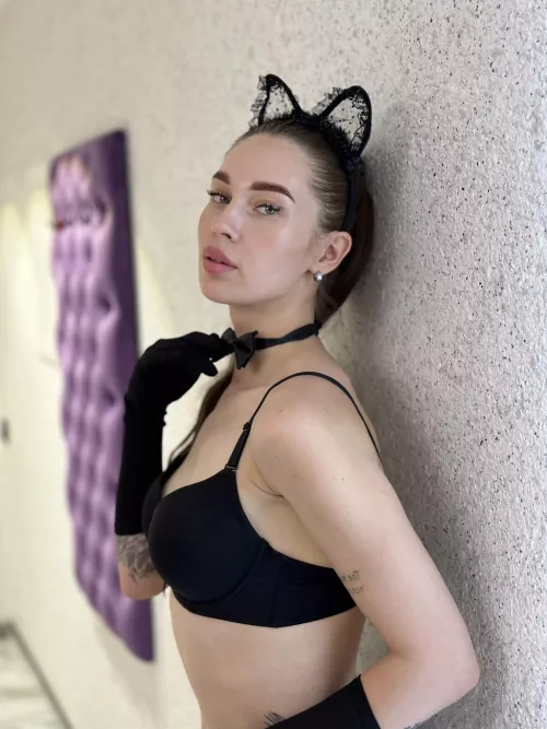 fantastic black cat by apple_only_