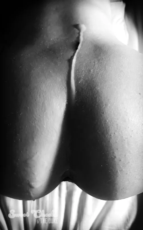 Finishing presentation by SweetCheeks-TheDuke