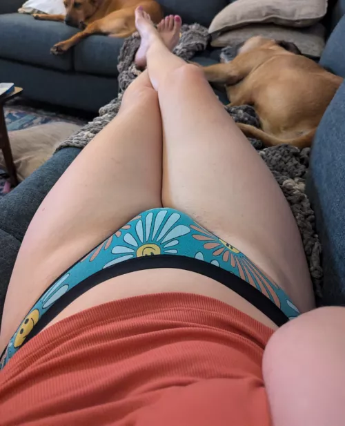 Just hanging out with my dawgs by Rude_Complex_1554