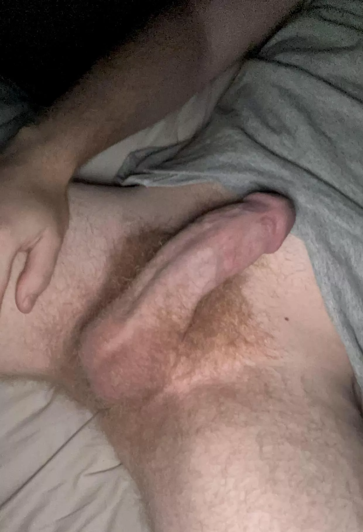 last pic before i trim tmrw, lmk your thoughts :) posted by mattreddit1221