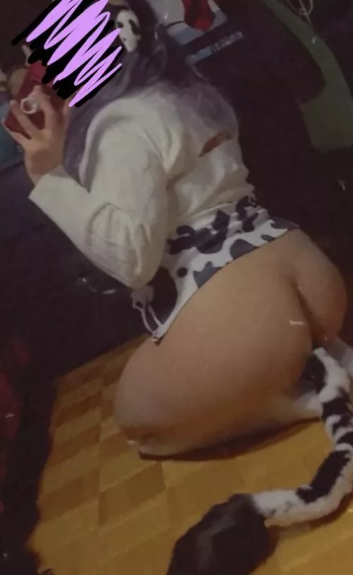 moo! 🐮🐄 by BaphyBabe