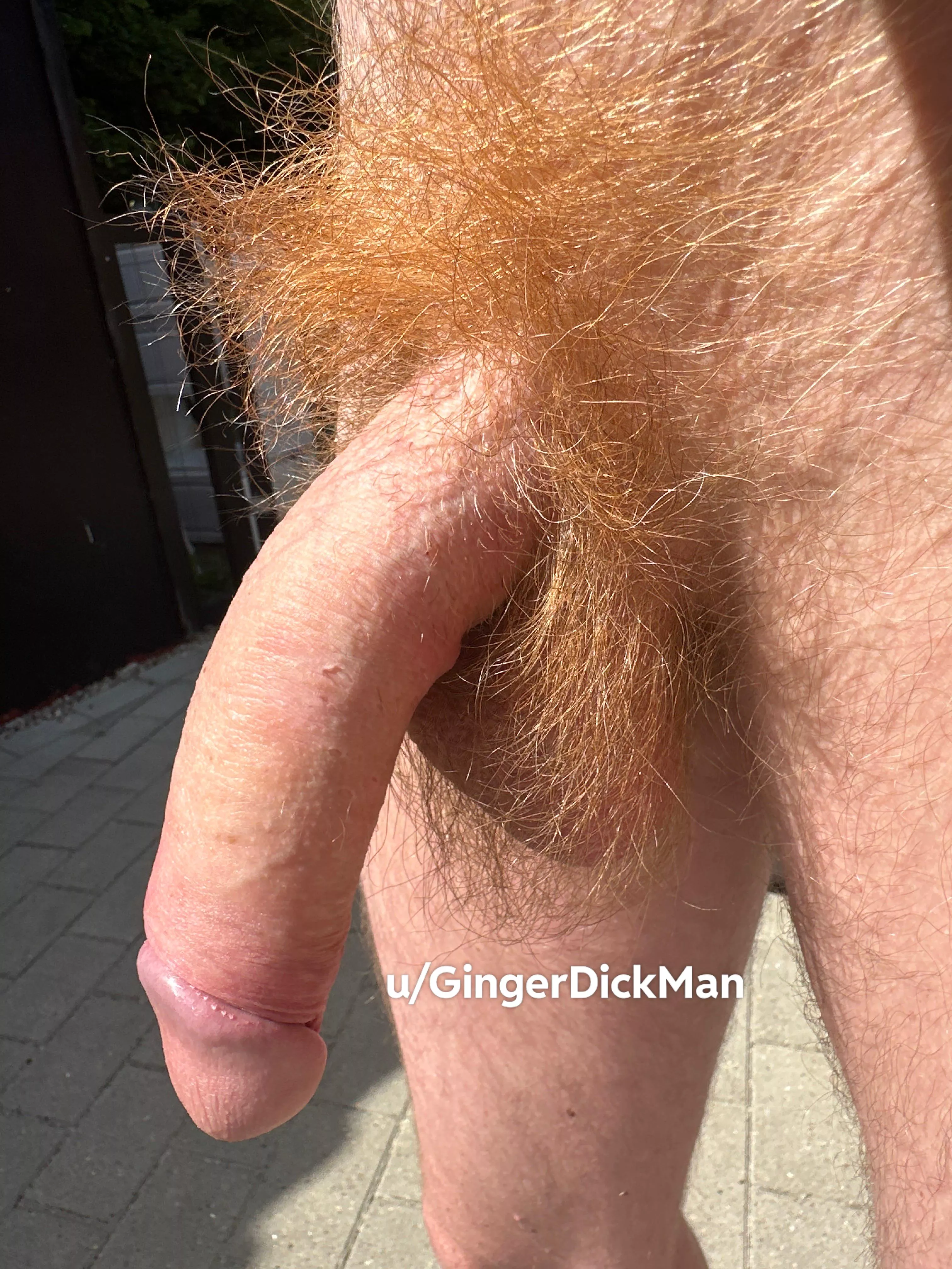My bush is on fire.  posted by GingerDickMan