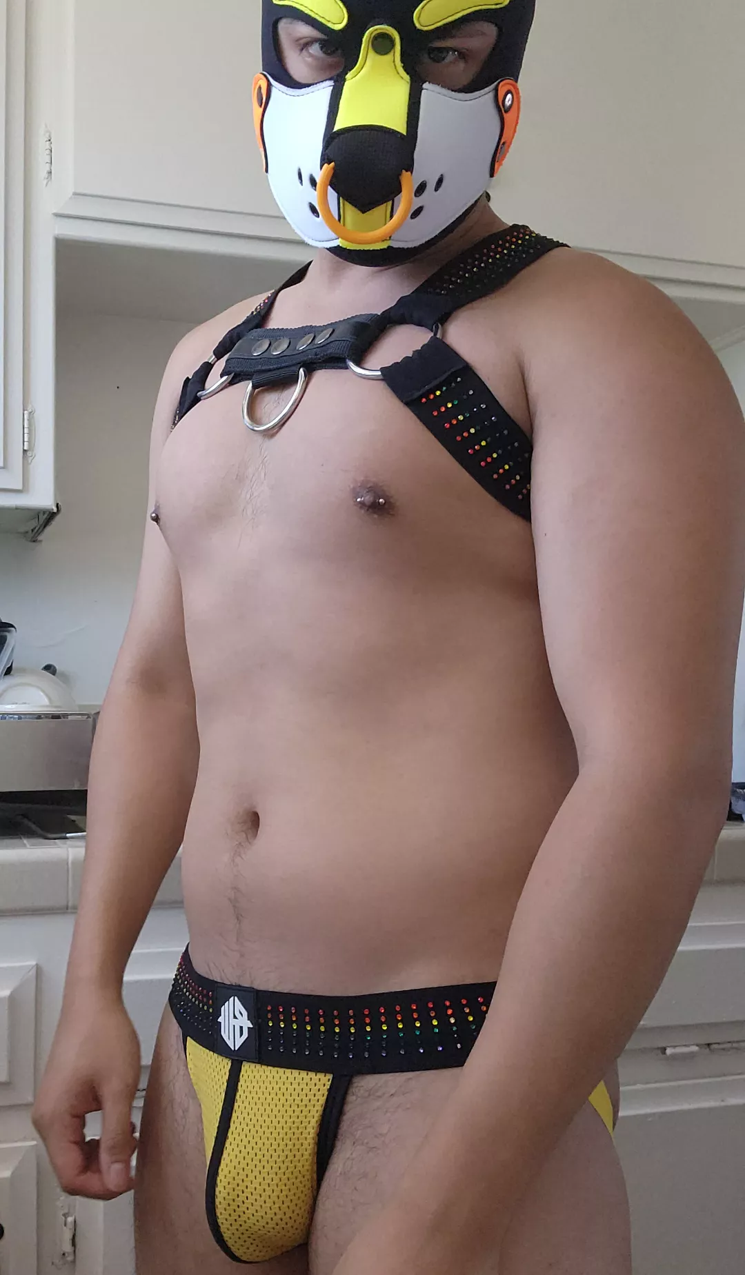 Pride month calls for rainbow gear  posted by poke_pup