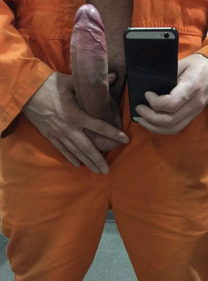 Tempted to get on your knees? posted by OwnRide1223