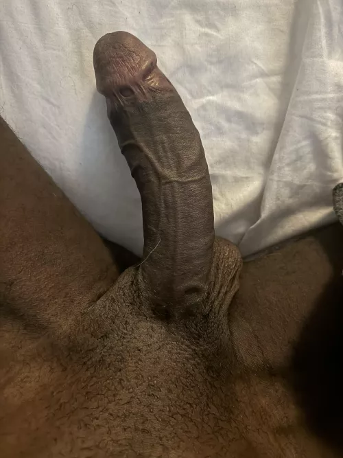 Where the bunnies at? by Professional-Shame99