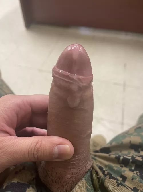 [37] it’s Sin Sunday!! Are you going to be good or naughty? by ElusiveShadows