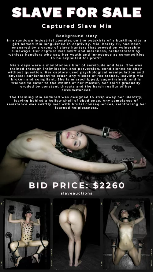 Captured Slave for Sale by Munkeylime