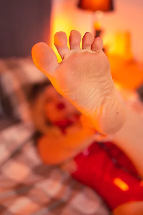 Do you already know that your face should be a stand for them? by eegrant