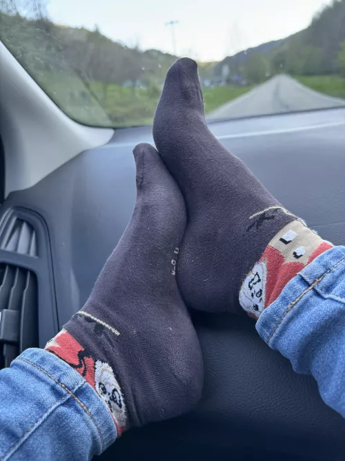 I love my socks, do you? by bonedcadiz