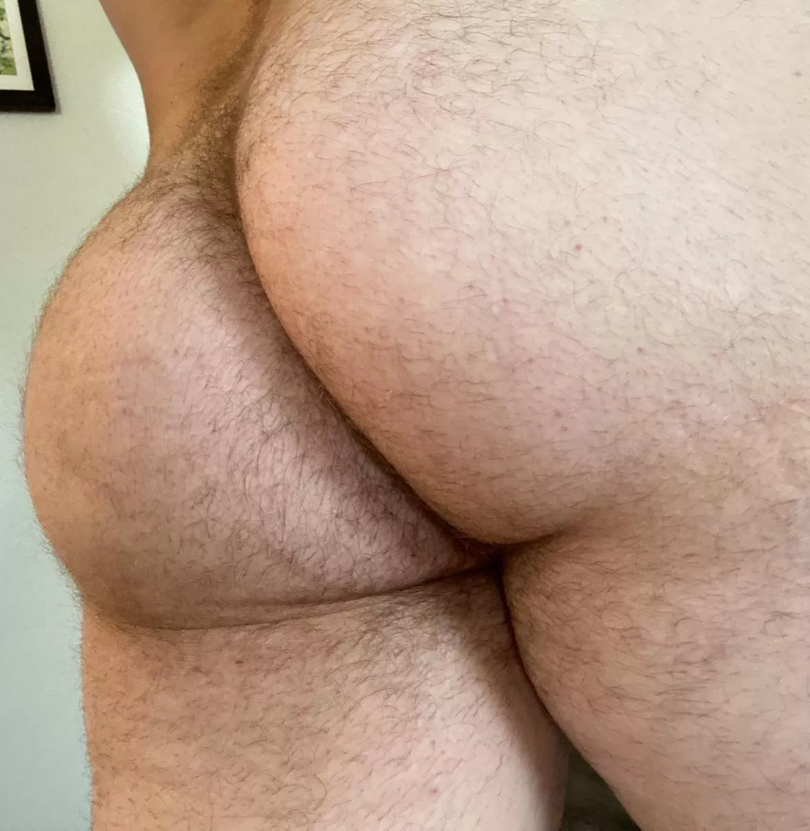 ? Smash or face first?  posted by Important-Thought-30