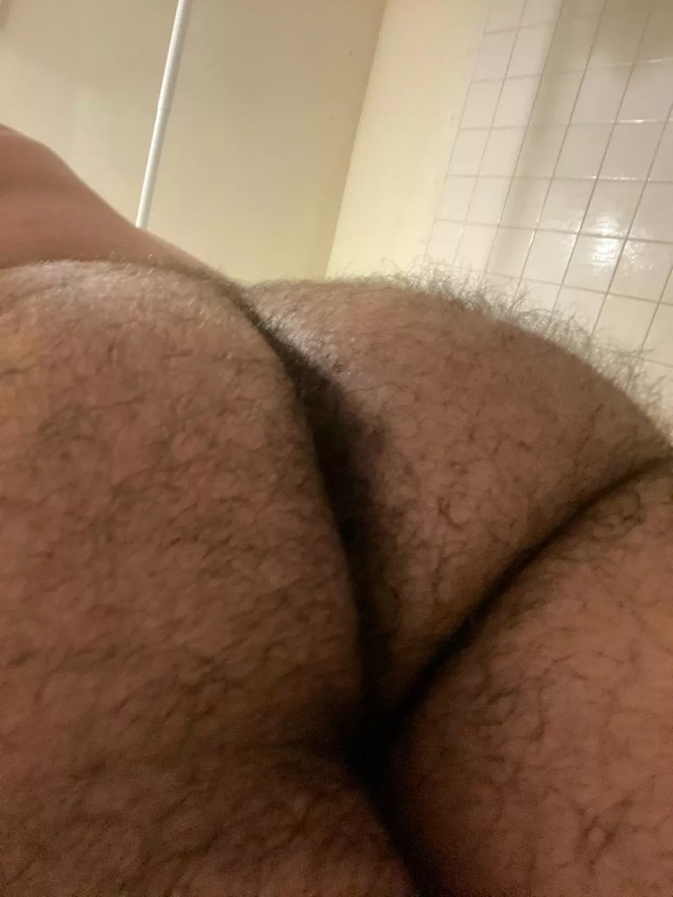 Who wants my hairy ass posted by NoFlight3238