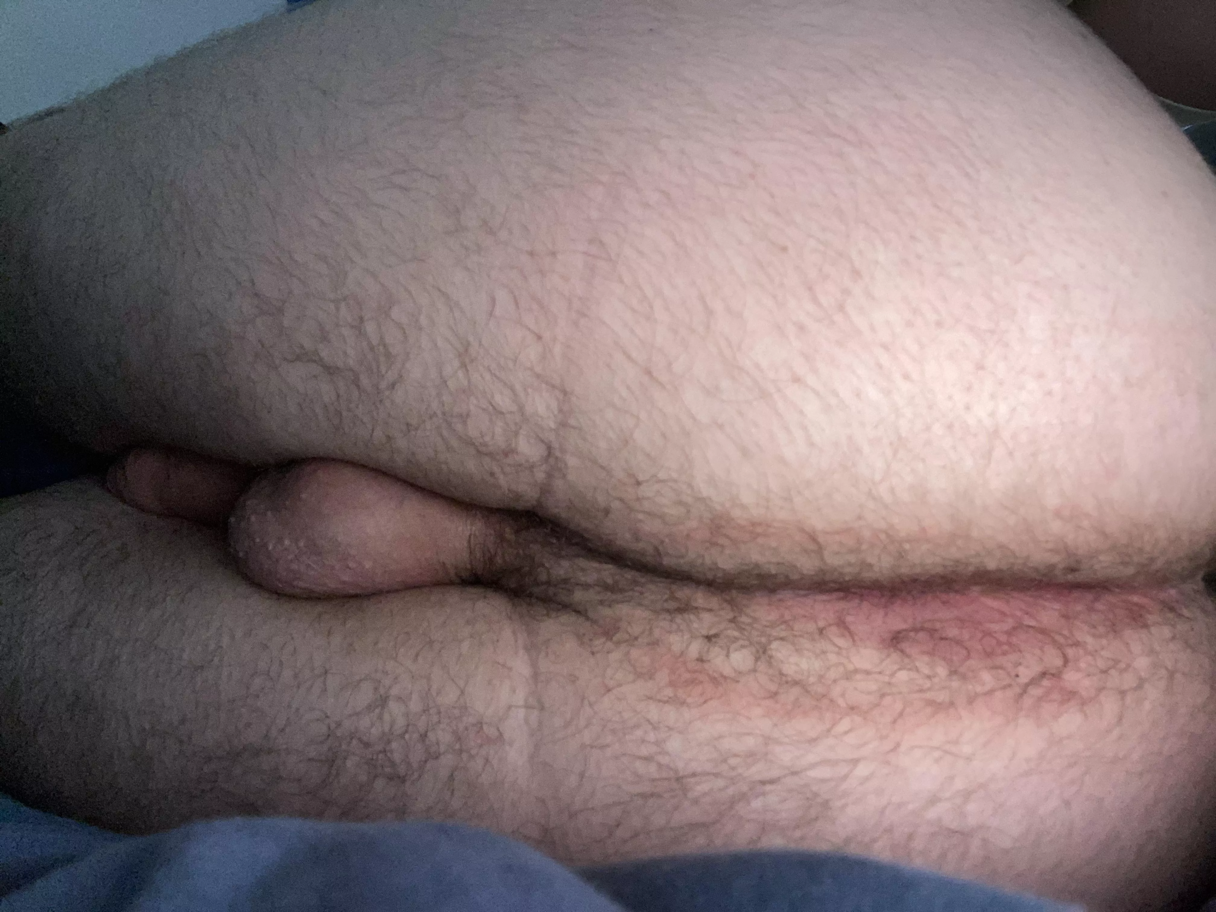 18m looking for someone to breed me posted by Foreign_Design_4208