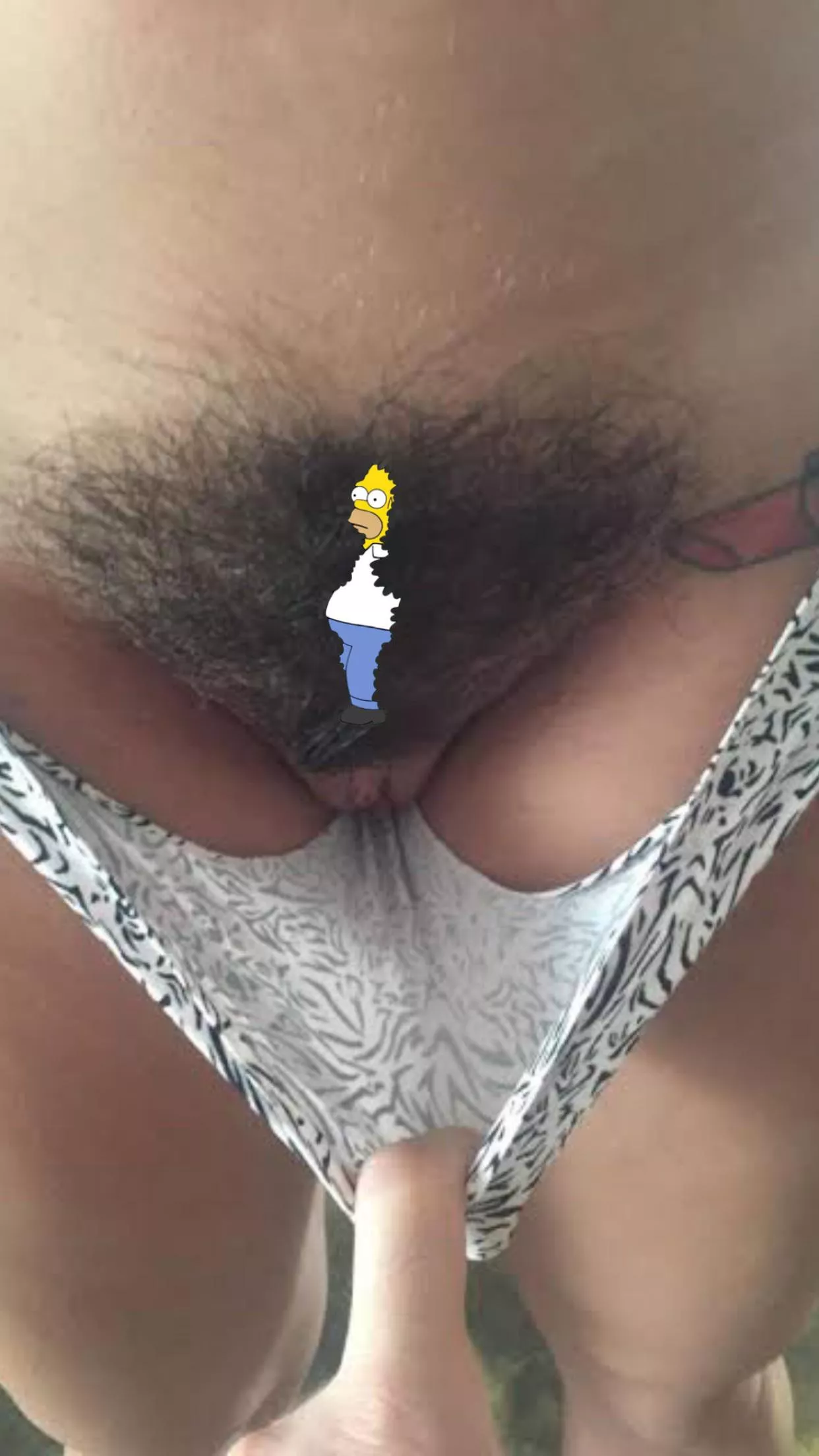 A bush we’d love to hide in posted by karleegreysbush