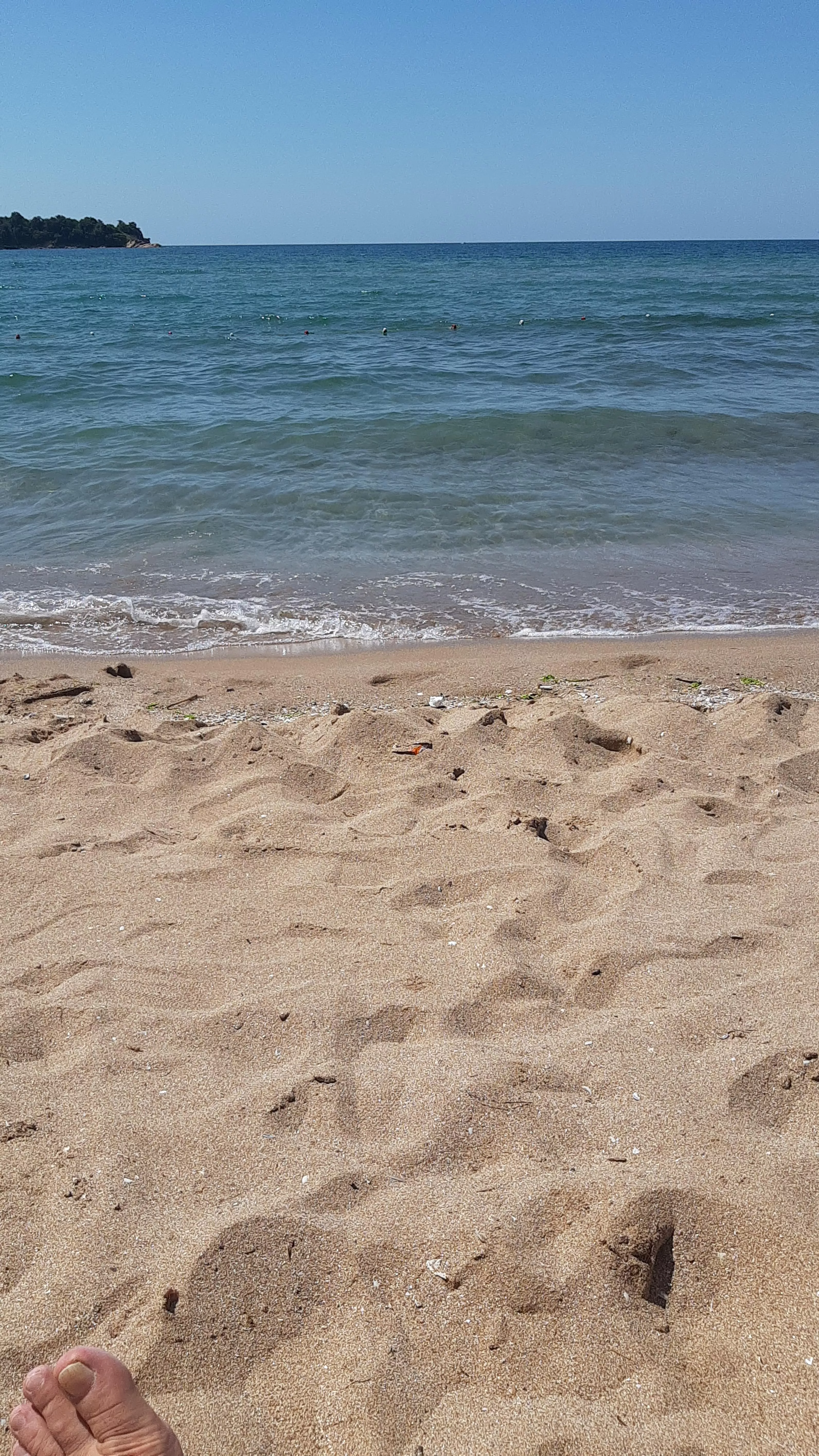 Blacksea posted by cohnpuma