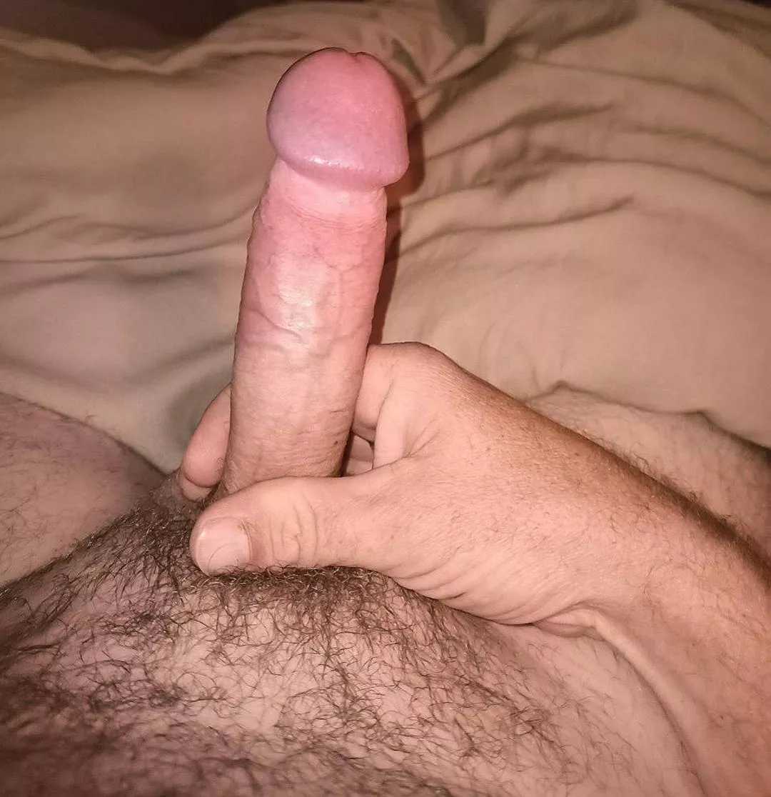 Climbing on top (40) posted by Drunkenbattla