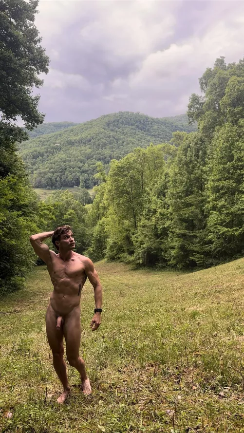 Field stripped by freeintheforest86