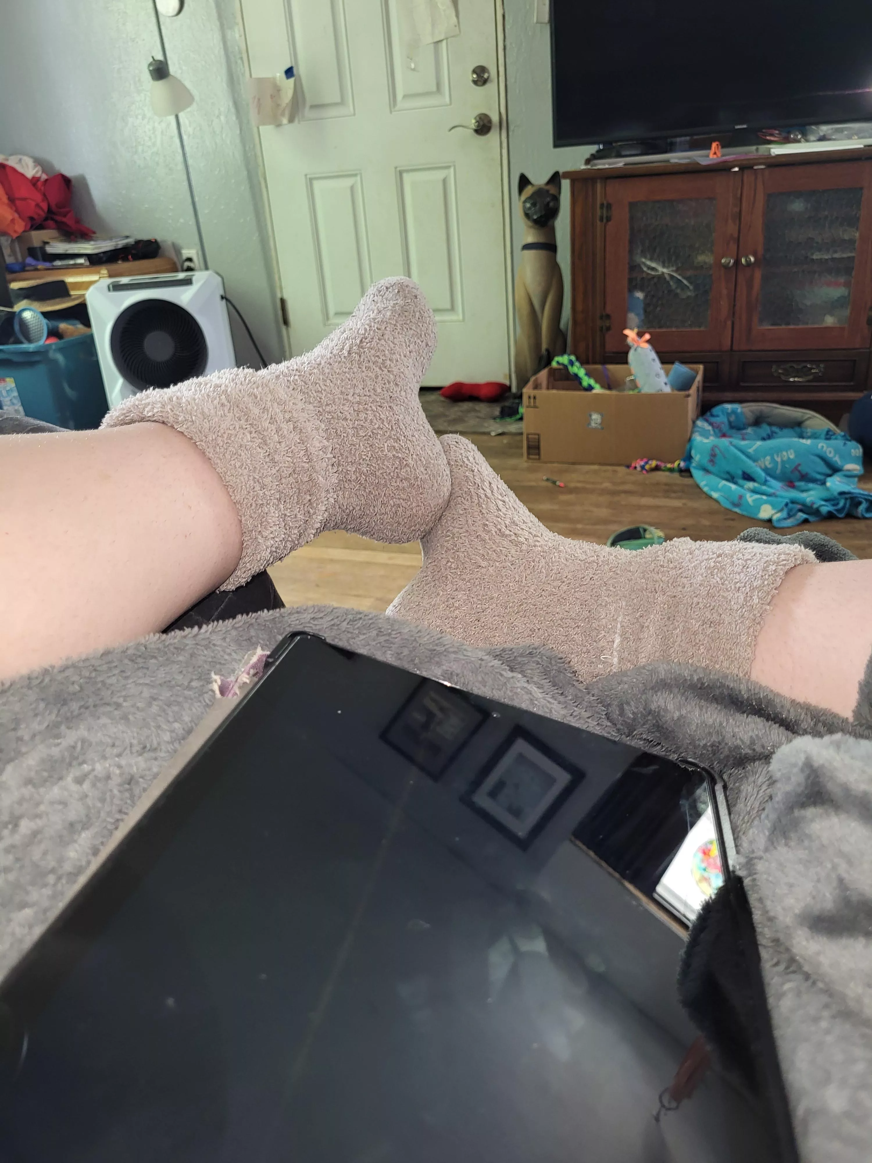 Fuzzy perfection posted by xPennywiseQueenx