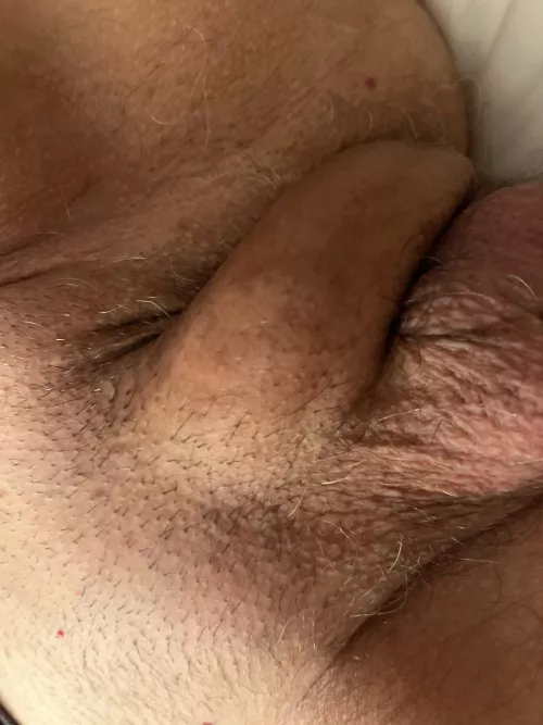 Just splooged in my back door by miscast444