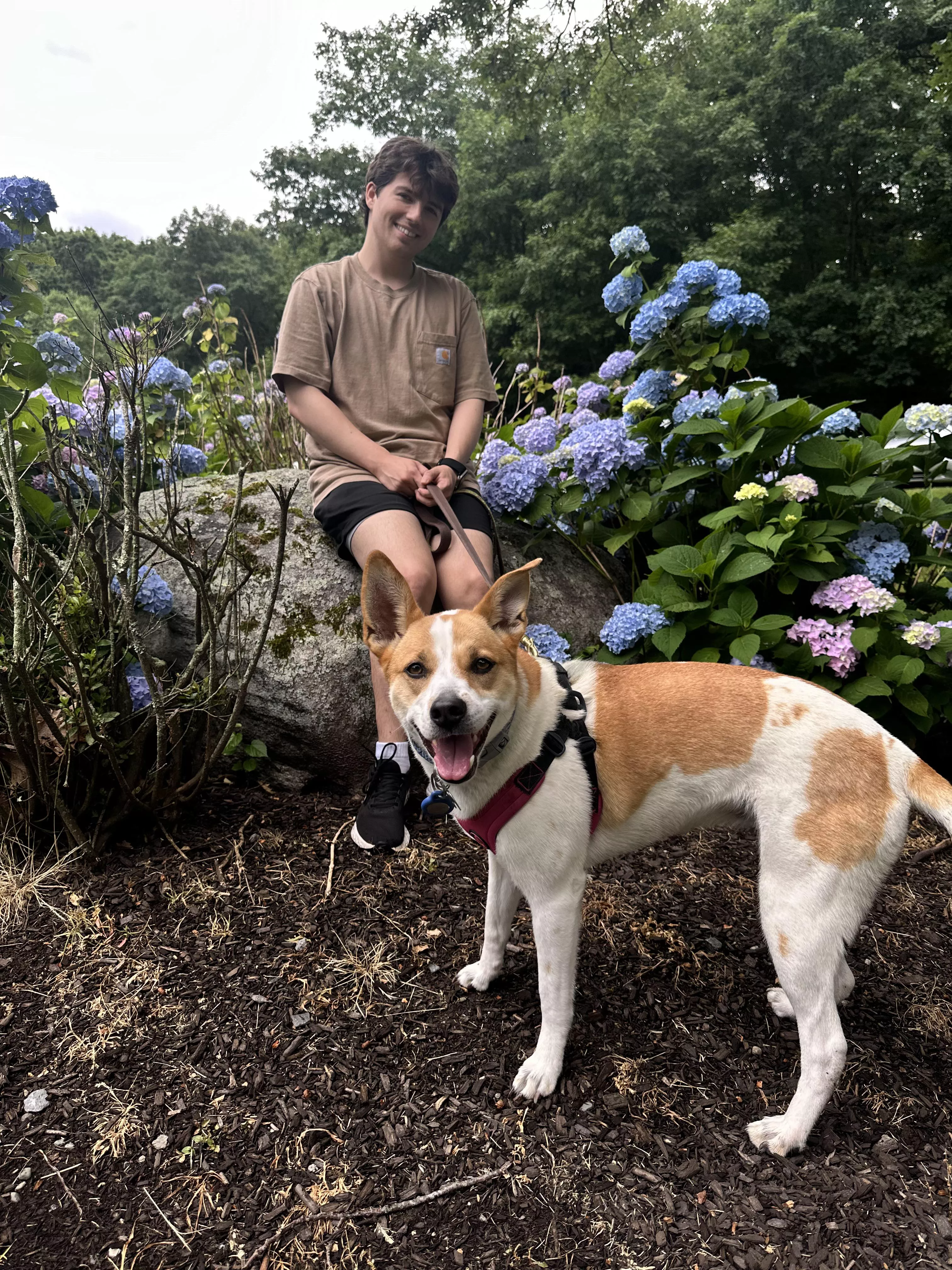 me and my bby girl :) what kind of dog does everyone have? posted by TechnicalAd6195