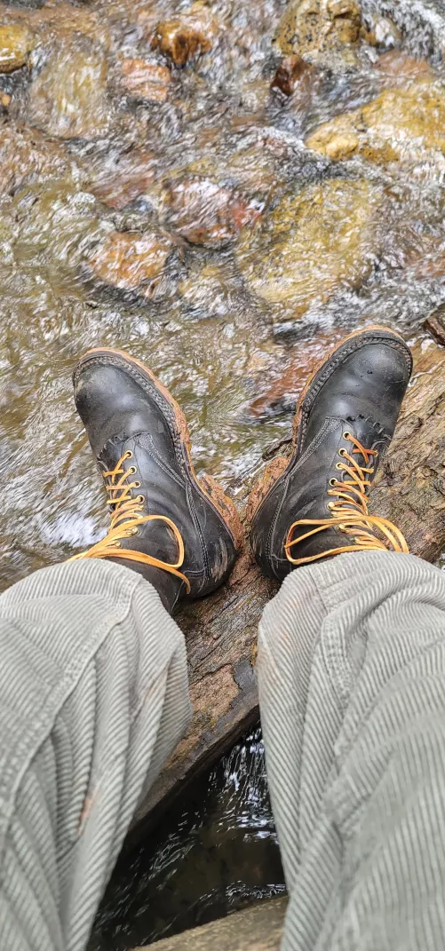 Nicks boots on an adventure!  by sandwich_jooper