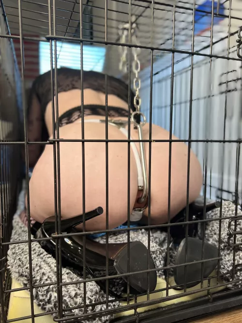 Secured by Couple_of_Perverts