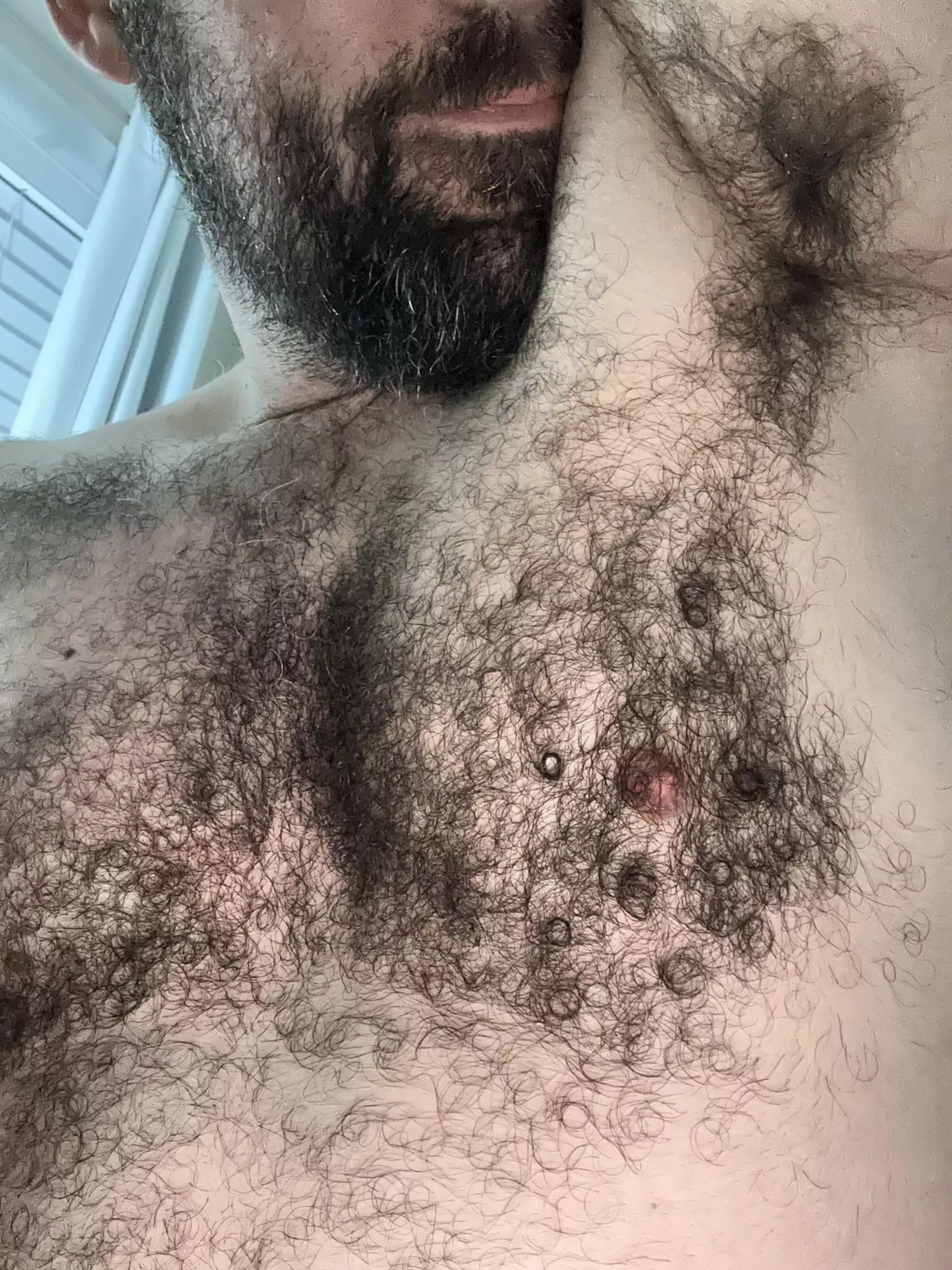 Sweaty and ringlet chest hair. Imagine the lovely scent.  posted by hairysoutherner