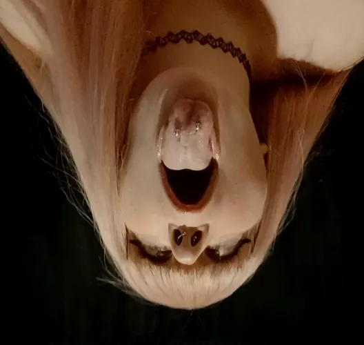 👅 tongue out for Tuesdays 👅 by KittyPoundcakes