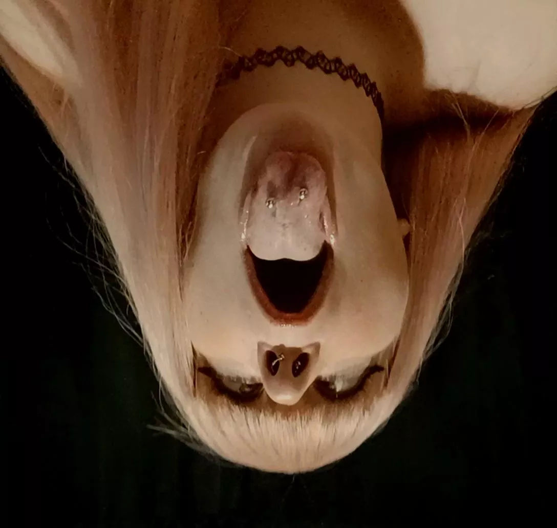 👅 tongue out for Tuesdays 👅 posted by KittyPoundcakes