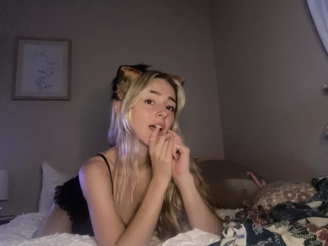 waiting for you to come pet me  by Creepy_Ingenuity_635