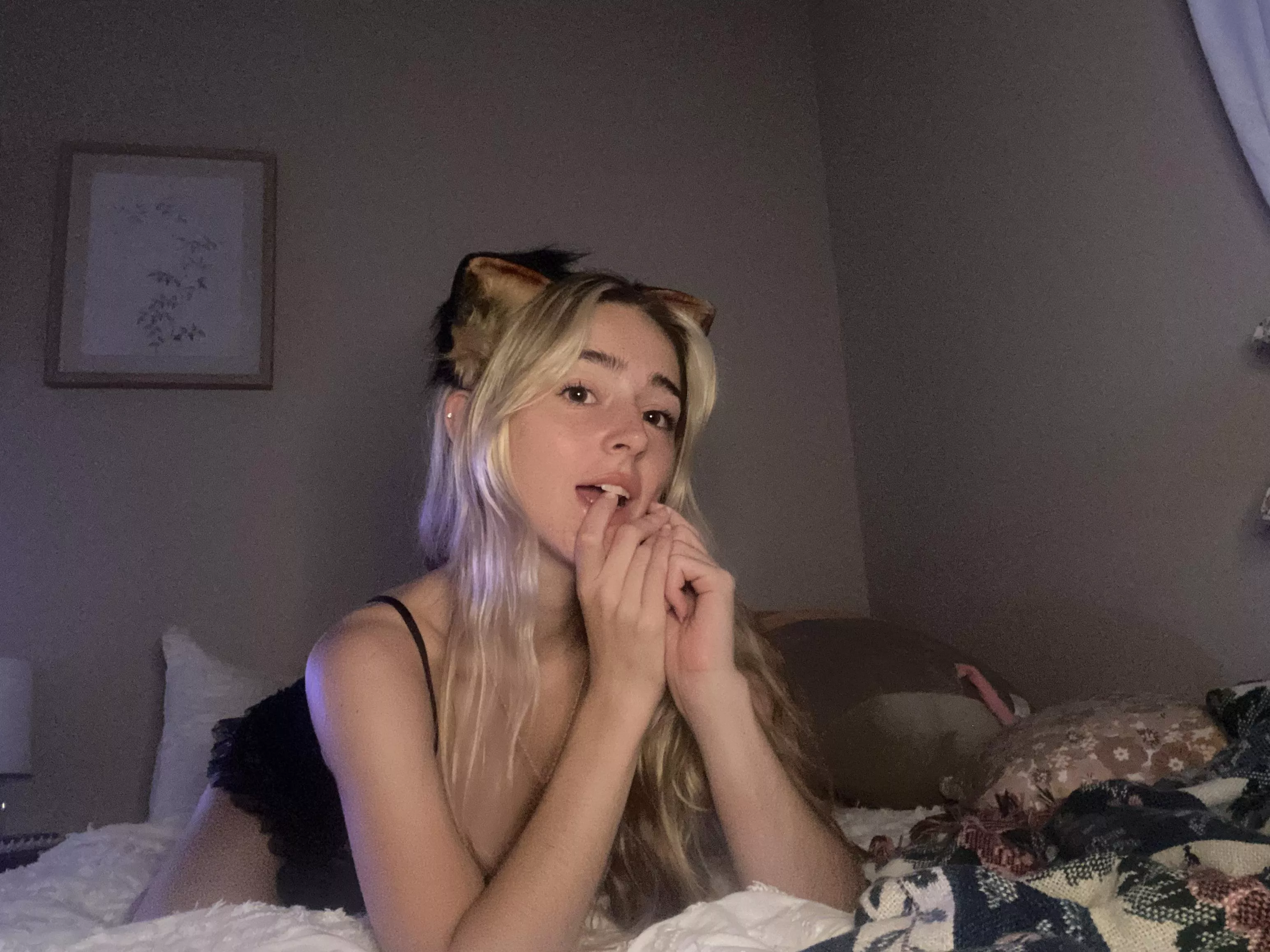 waiting for you to come pet me  posted by Creepy_Ingenuity_635