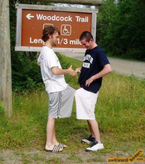 Woodcock Trail by Primal_Mantis