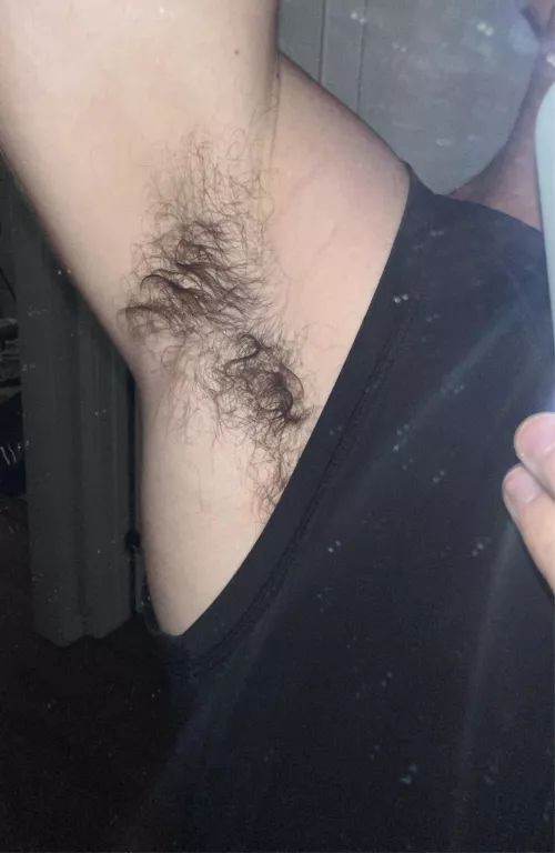 After morning walk by midwestlad