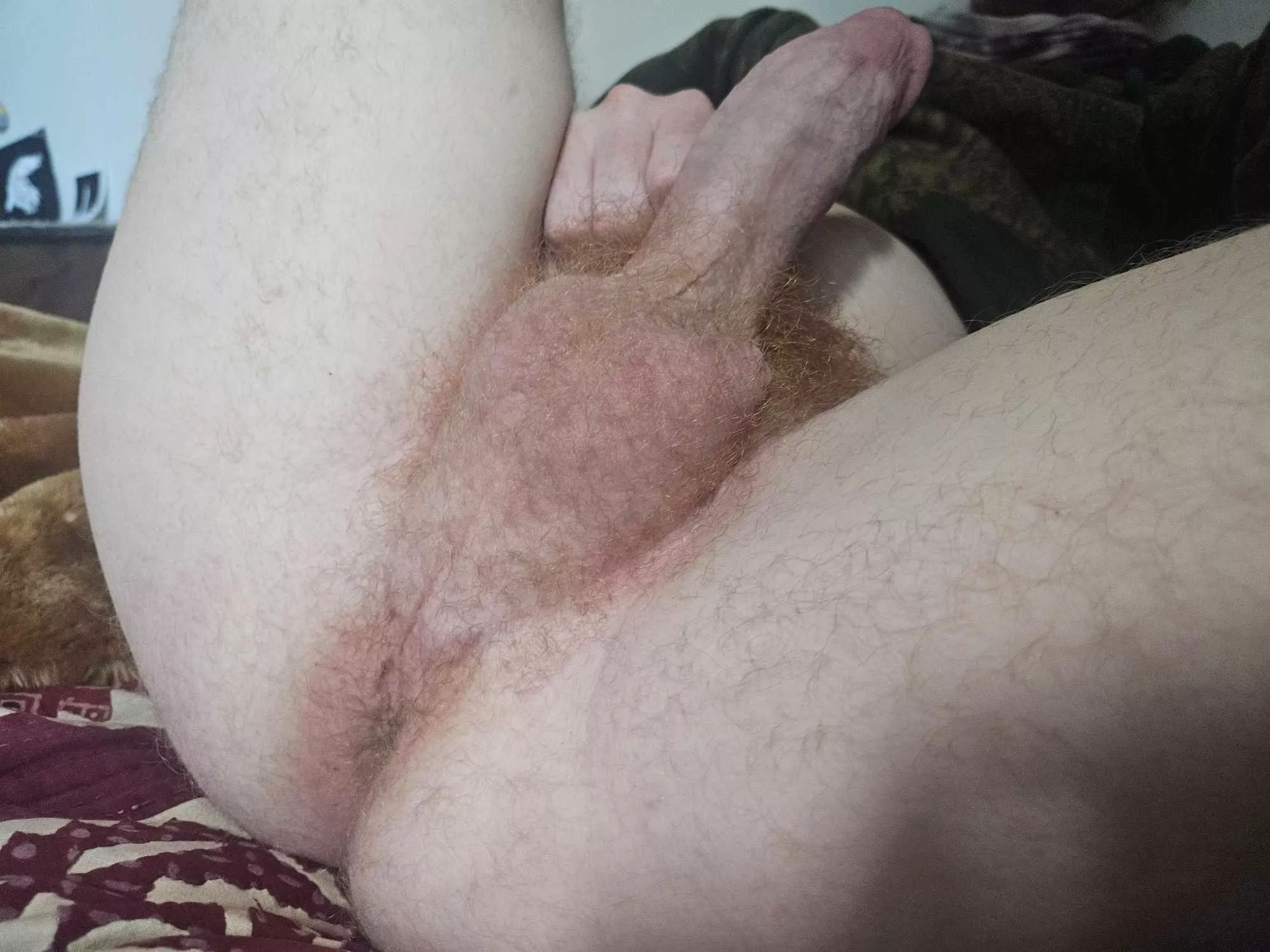 Any ginger guys wanna play? posted by spice-cinnamon