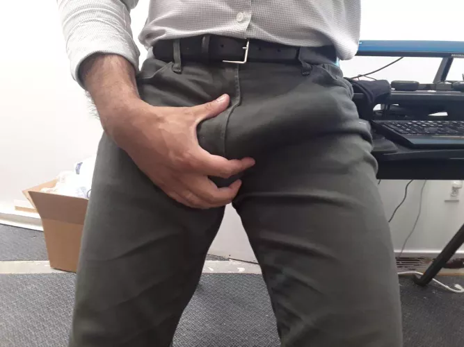 Are you ready for your morning meeting? by canadian_sir